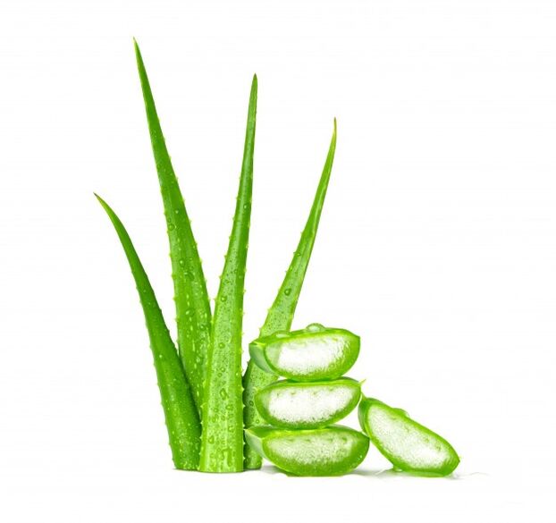 Aloe vera en Men's Defence