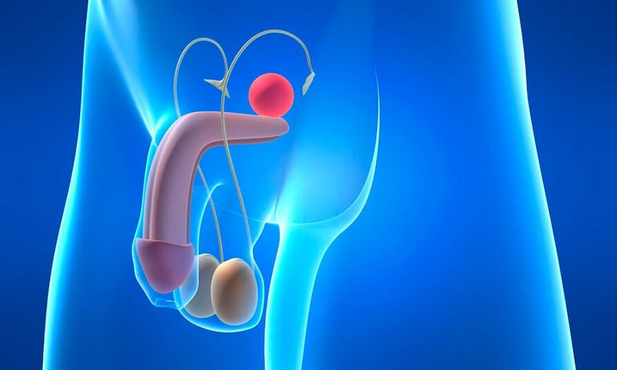 edema de la próstata con prostatitis